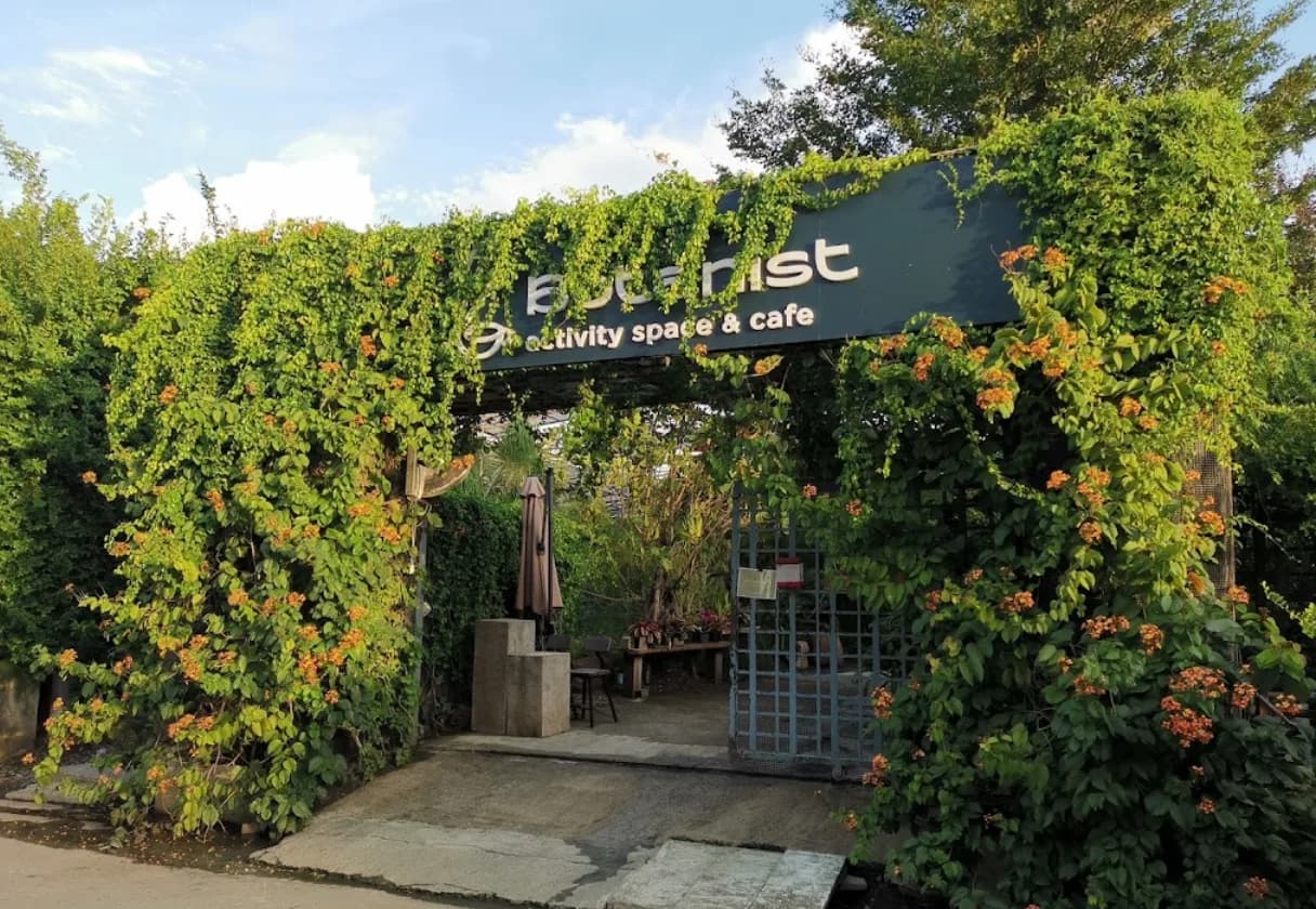 Botanist activity space and more
