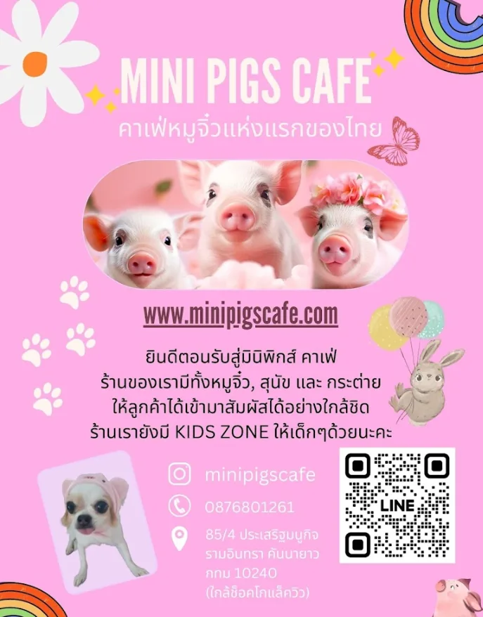 Mini Pigs Cafe